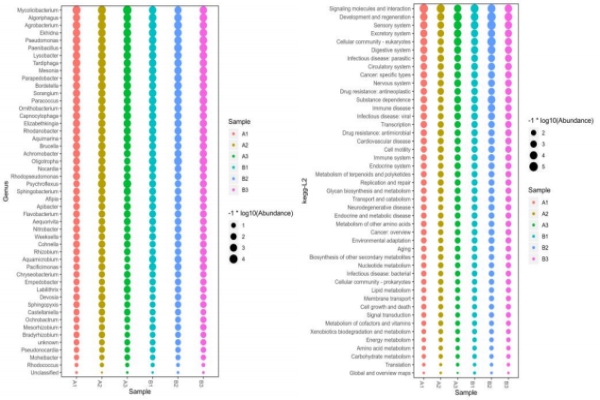 物種-功能-Bubble圖 物種-功能-Bubble圖