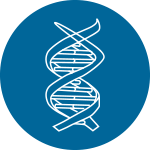 繪制GO、KEGG分類富集圖