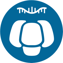 有參全長(zhǎng)轉(zhuǎn)錄組（ONT）分析平臺(tái)