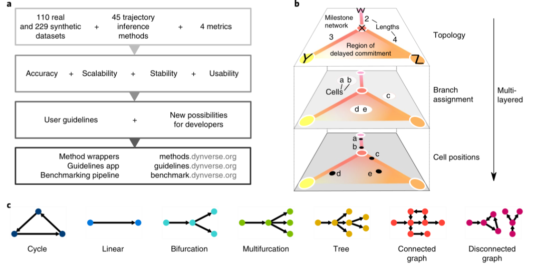 圖1 ?軌跡分析算法評估流程及7種細胞分化軌跡類型[1]