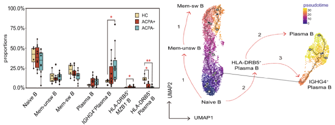 類風(fēng)濕關(guān)節(jié)炎患者外周血B細胞分析