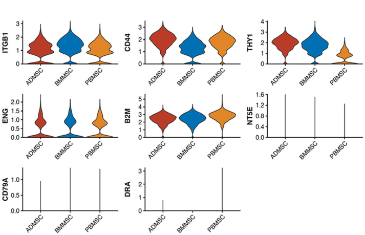 圖1從3個(gè)供者匹配的組織來(lái)源分離的馬間充質(zhì)基質(zhì)細(xì)胞（MSCs）的表征