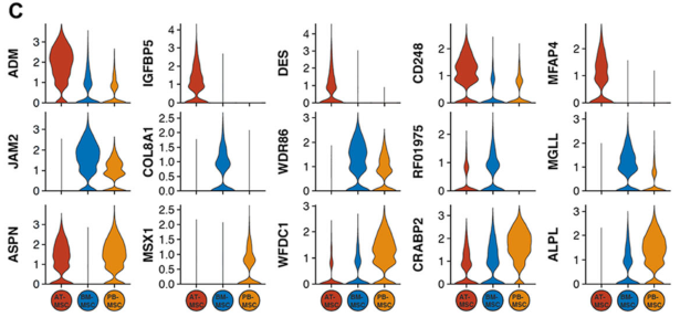 圖2單細(xì)胞RNA測(cè)序（sc?RNAseq）數(shù)據(jù)揭示了馬間充質(zhì)基質(zhì)細(xì)胞（MSCs）的源間變異