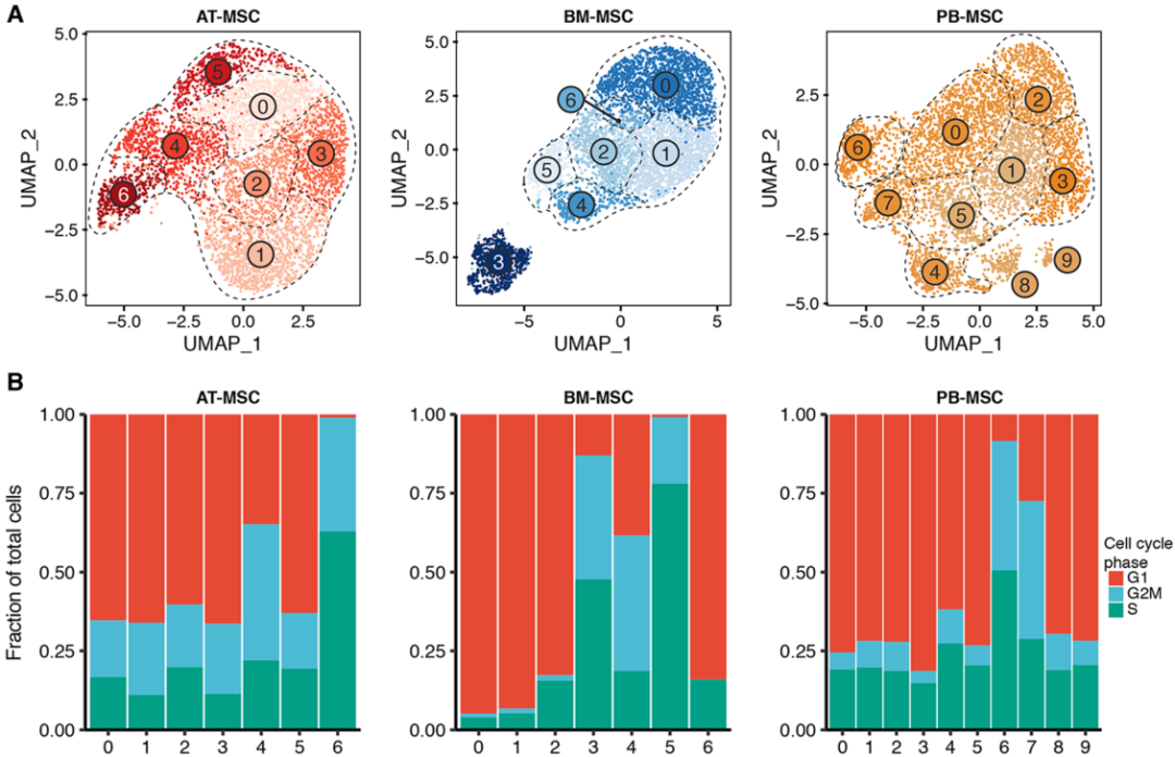 圖4單細(xì)胞RNA測(cè)序（sc?RNAseq）數(shù)據(jù)揭示了馬間充質(zhì)基質(zhì)細(xì)胞（MSCs）的源內(nèi)變異