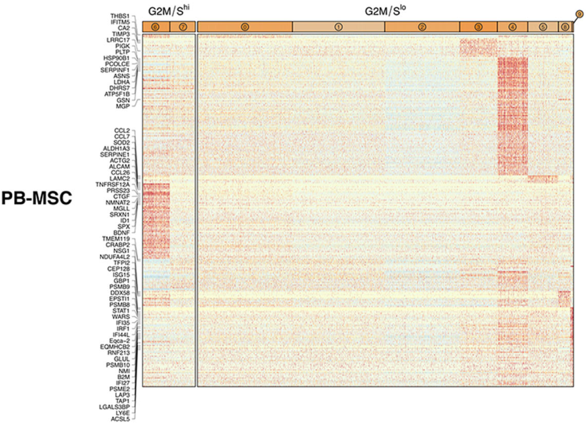 圖5從3個(gè)供體匹配組織來(lái)源分離的馬間充質(zhì)基質(zhì)細(xì)胞（MSCs）表現(xiàn)出源內(nèi)轉(zhuǎn)錄異質(zhì)性