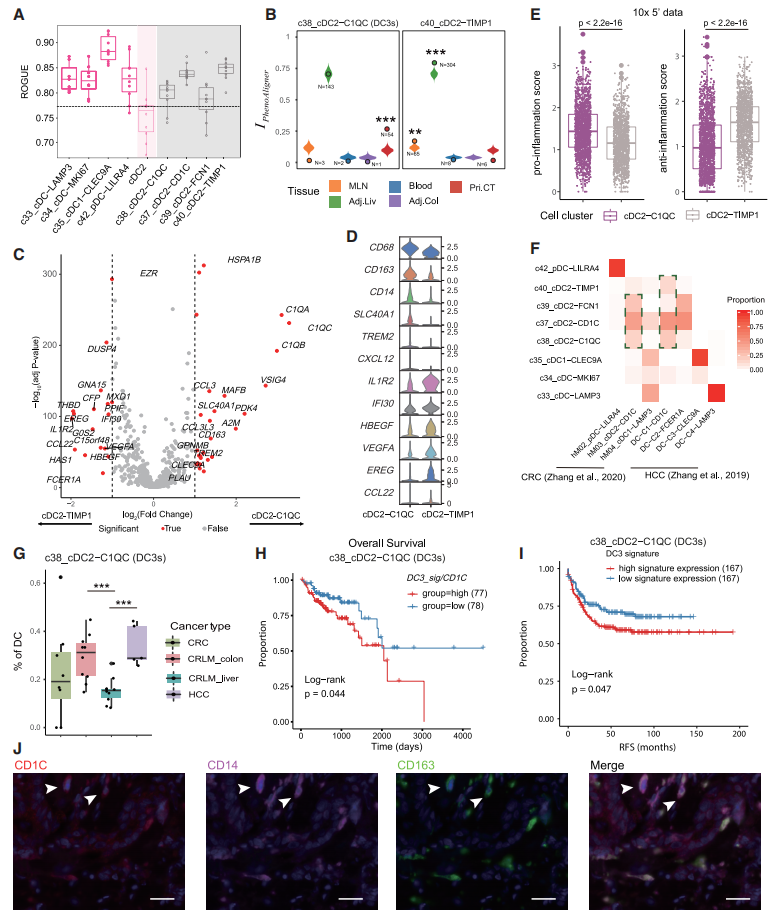 圖6?SPP1+腫瘤相關(guān)巨噬細胞的作用