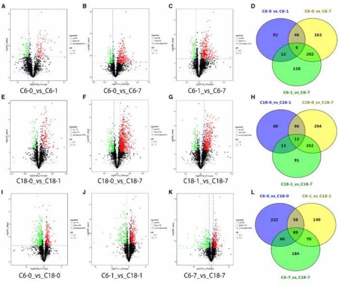 差異累積代謝物的火山圖，以及對(duì)照與其時(shí)間點(diǎn)的比較