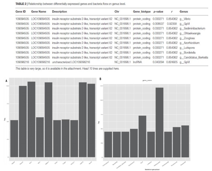 黃河鯉新品種和對(duì)照組 DEGs 與細(xì)菌(屬水平)的關(guān)系