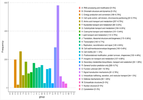 eggNOG功能基因功能分類統(tǒng)計(jì)圖 eggNOG功能基因功能分類統(tǒng)計(jì)圖