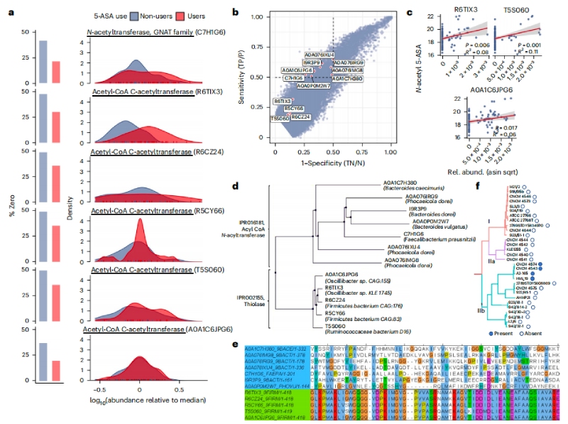 圖2N-乙酰5-ASA微生物酶包括硫代酶和?；o酶A N-乙酰轉(zhuǎn)移酶