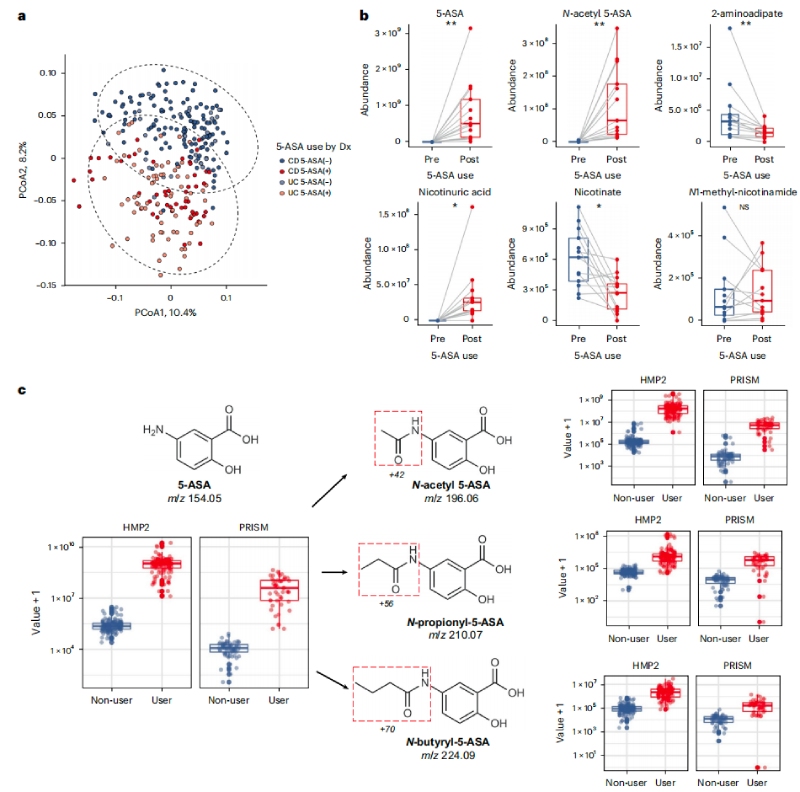 5-ASA可直接影響糞便代謝組，并通過微生物組進(jìn)行生物轉(zhuǎn)化